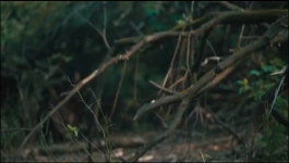 Aar Ya Paar - Season 01 Episode 08